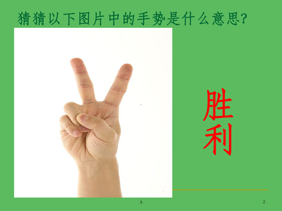 说木叶教学讲解课件-参考.ppt_第2页