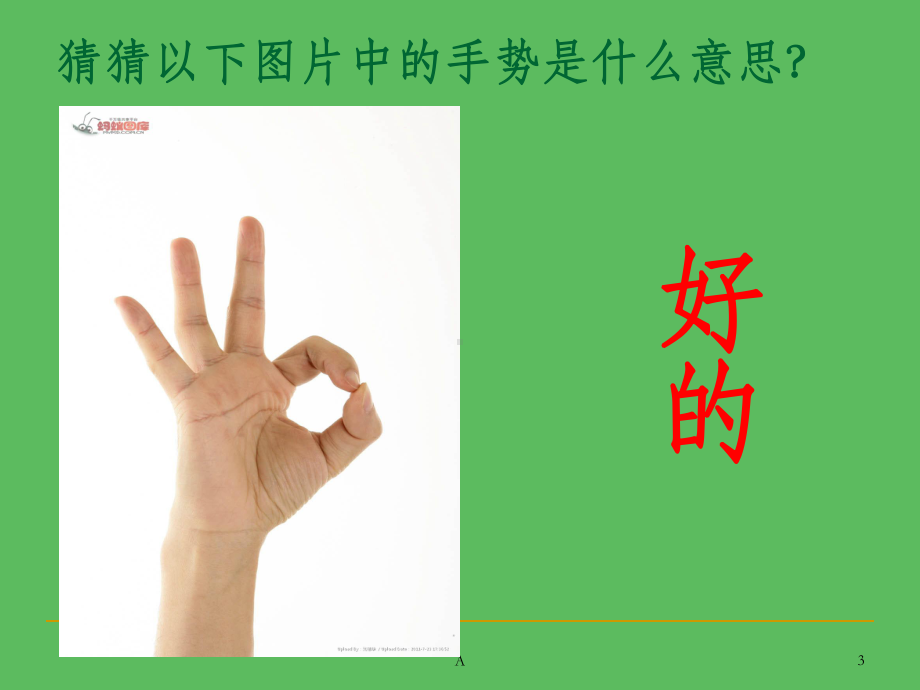 说木叶教学讲解课件-参考.ppt_第3页