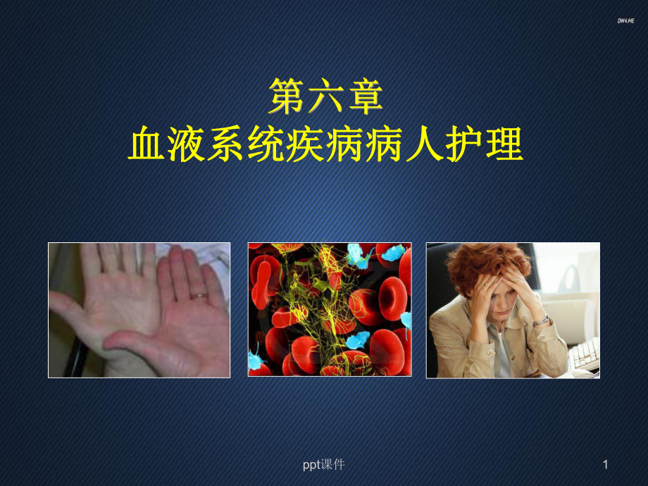 血液系统疾病病人护理-课件.ppt_第1页