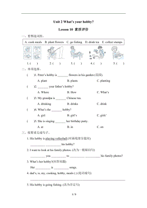 Unit 2 What’s your hobby？Lesson 10 素质评价.doc