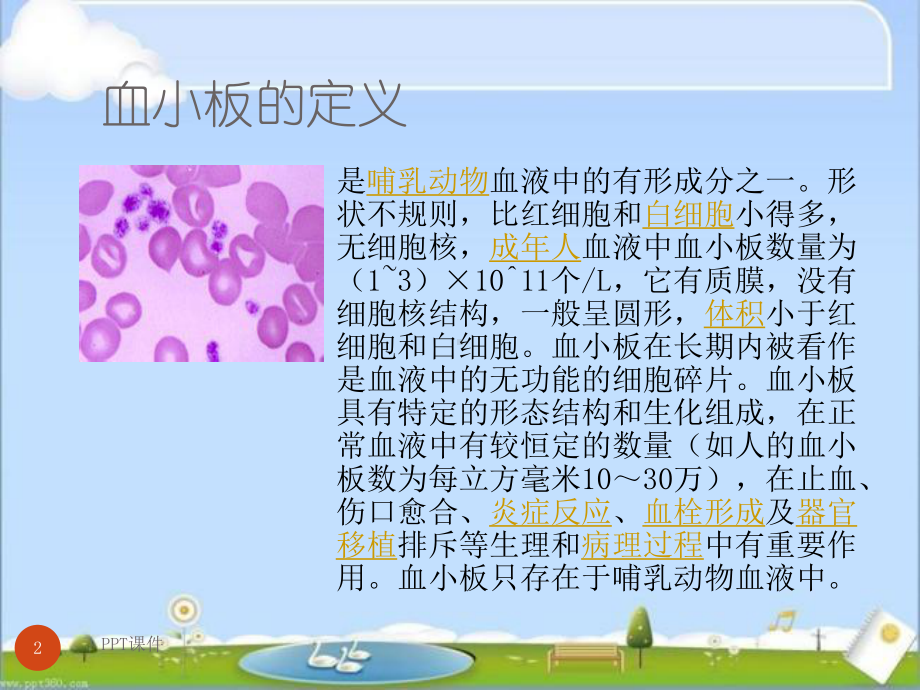 血小板减少症患者的护理原则-课件.ppt_第2页