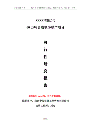 60万吨合成氨多联产项目可行性研究报告模板备案审批定制.doc