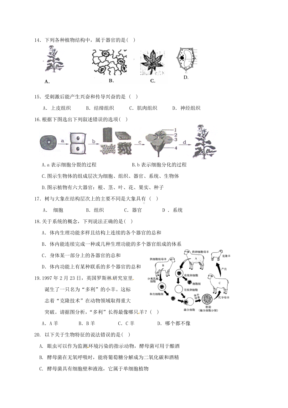 最新苏教版七年级生物下册期中测试卷及答案.doc_第3页