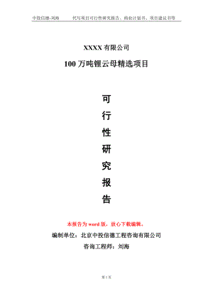 100万吨锂云母精选项目可行性研究报告模板备案审批定制.doc