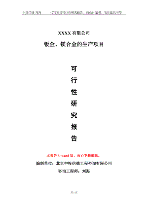 钣金、镁合金的生产项目可行性研究报告模板备案审批定制.doc