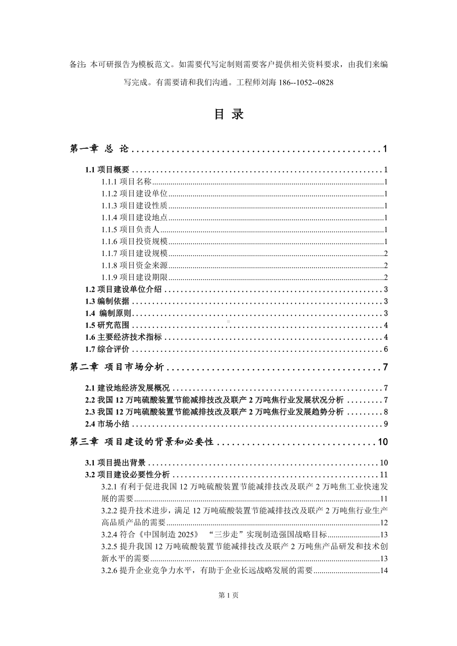 12万吨硫酸装置节能减排技改及联产2万吨焦项目可行性研究报告模板-立项备案.doc_第2页