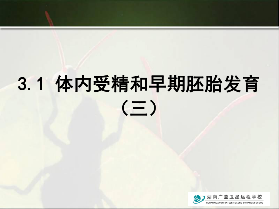 高三生物(体内受精和早期胚胎发育(三) .ppt_第2页