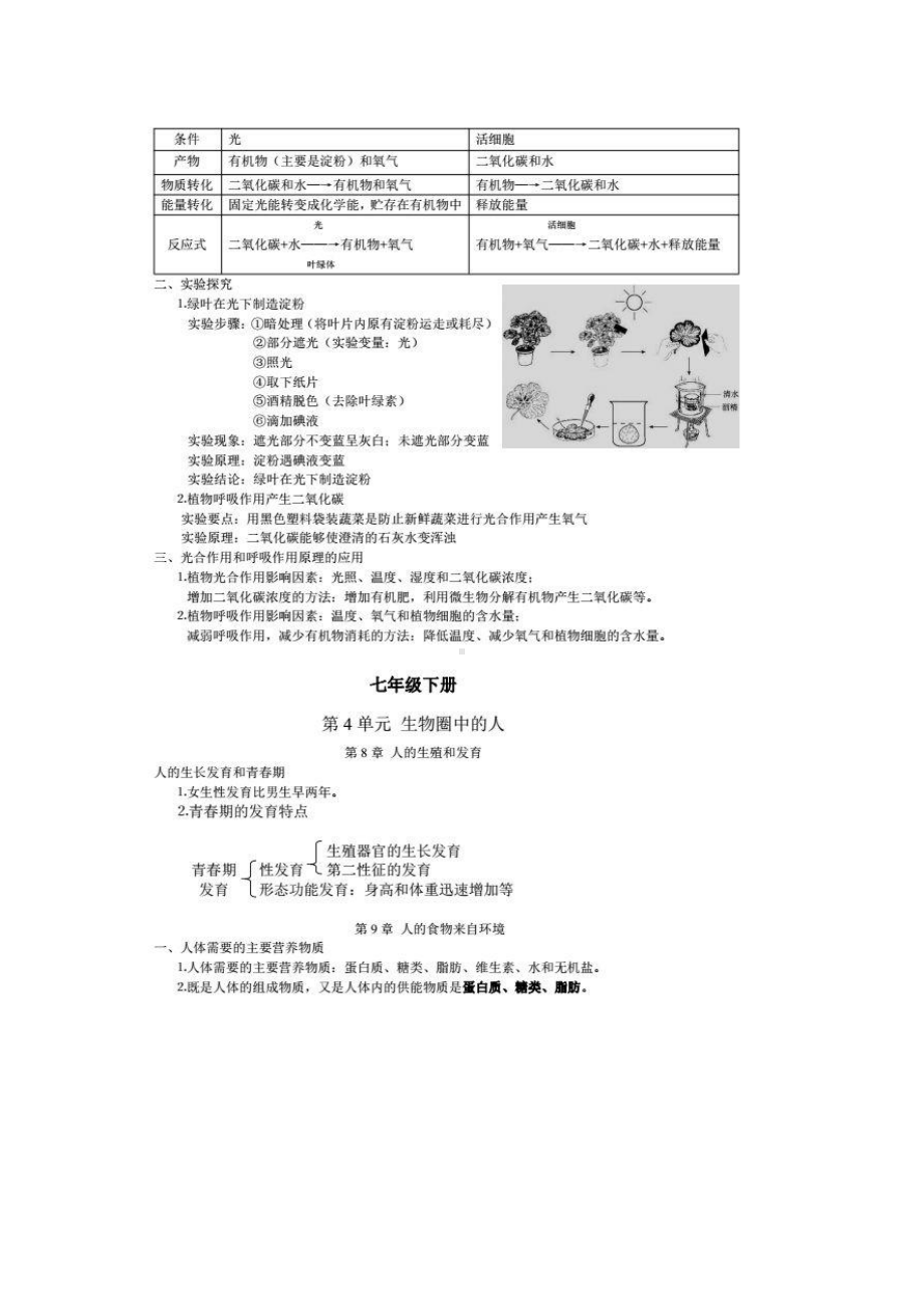 初一初二生物复习：考试必考基础知识大汇总（资料为Word可打印）(1).docx_第3页