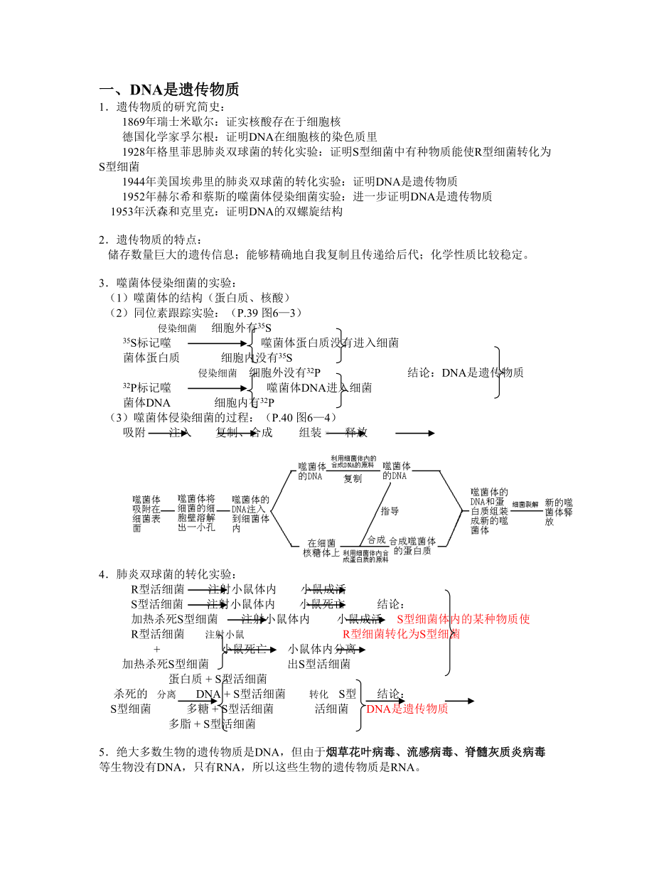 沪科版高中生命科学第二册第六章《遗传信息的传递和表达》复习提纲.doc_第2页