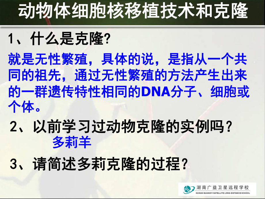 高三生物(动物细胞培养和核移植技术(二) .ppt_第3页