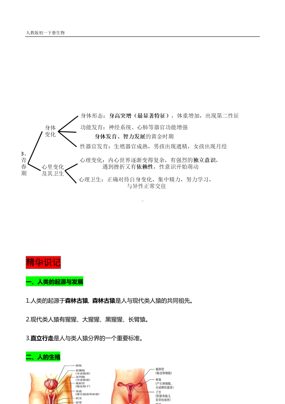 初一下册生物每章思维导图+精华知识 (2).docx_第2页