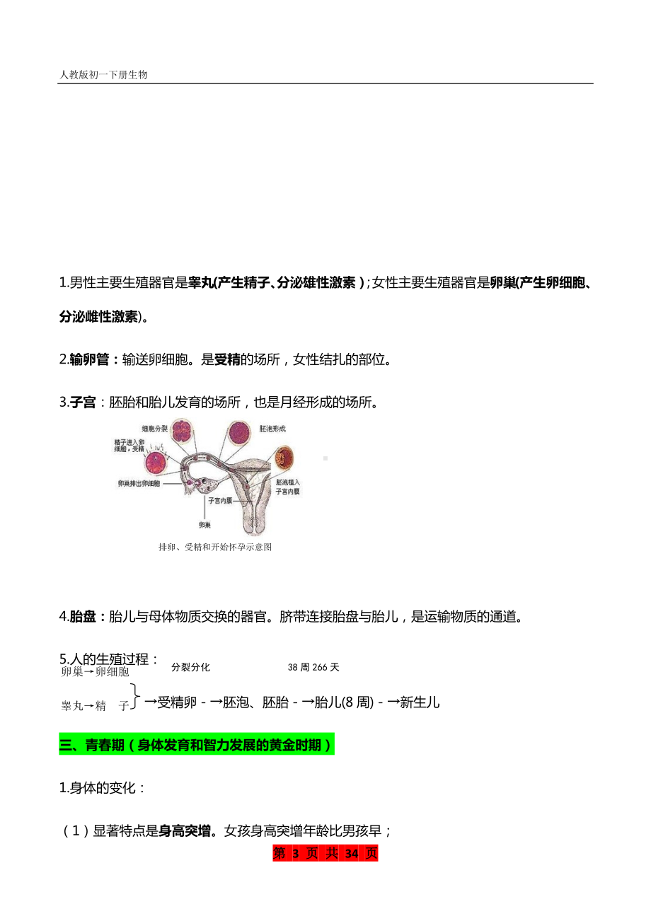 初一下册生物每章思维导图+精华知识 (2).docx_第3页