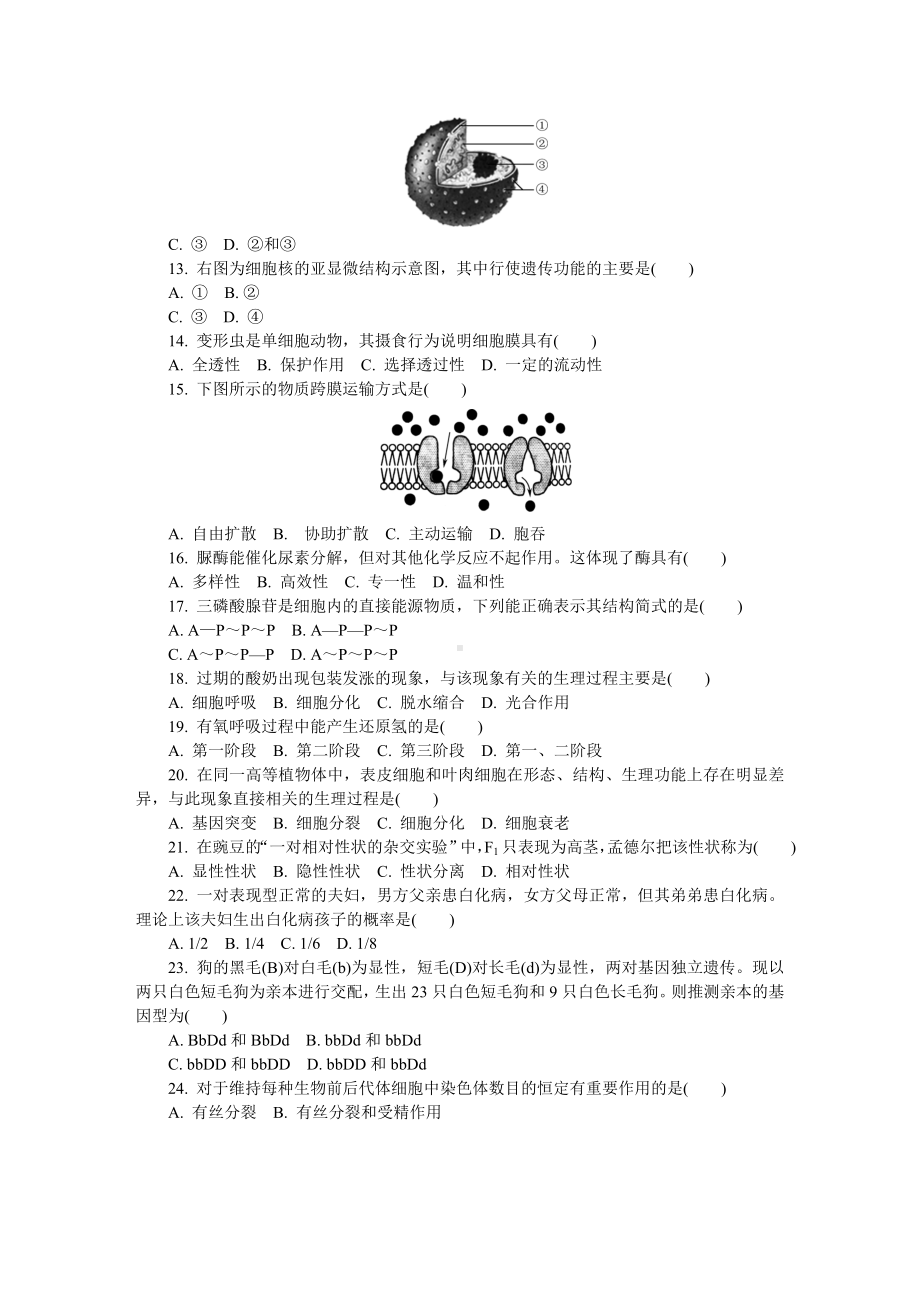 江苏省无锡市高二学业水平合格性考试模拟试题(12月)-生物-Word版(含答案).doc_第2页