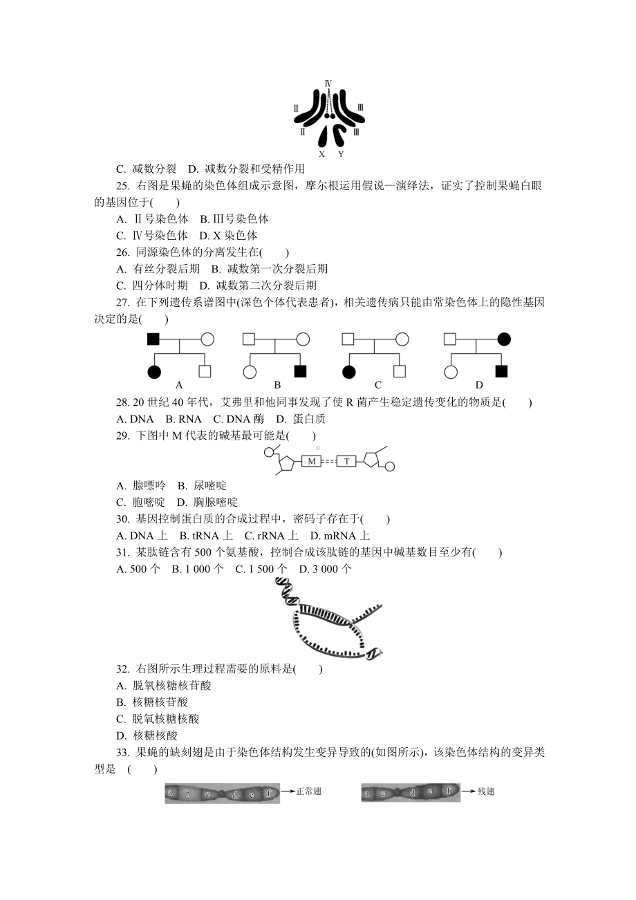 江苏省无锡市高二学业水平合格性考试模拟试题(12月)-生物-Word版(含答案).doc_第3页