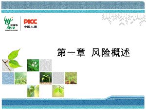 风险概述 .ppt