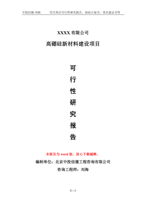 高硼硅新材料建设项目可行性研究报告模板备案审批定制.doc