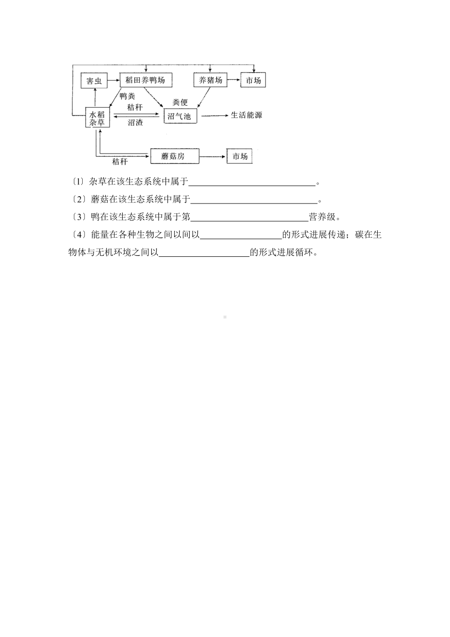 济南版生物八年级下册-6.2.3《能量流动和物质循环》同步练习.doc_第3页