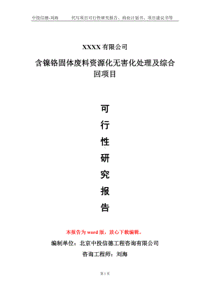 含镍铬固体废料资源化无害化处理及综合回项目可行性研究报告模板备案审批定制.doc