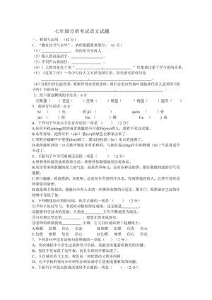 河南省小升初语文模拟试题-初中分班试题附答案.doc