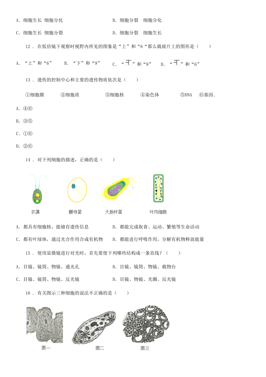 济南版七年级上册生物第一单元-第二章-观察生物结构-单元巩固练习题.doc_第3页