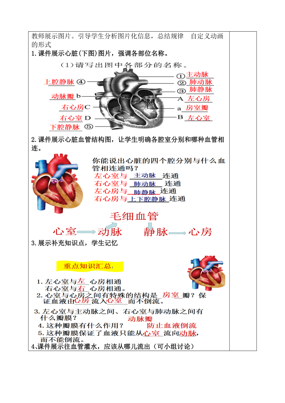 济南版生物中考复习：心脏和血液循环教案设计.docx_第3页