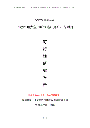 回收治理大宝山矿铜选厂尾矿环保项目可行性研究报告模板备案审批定制.doc