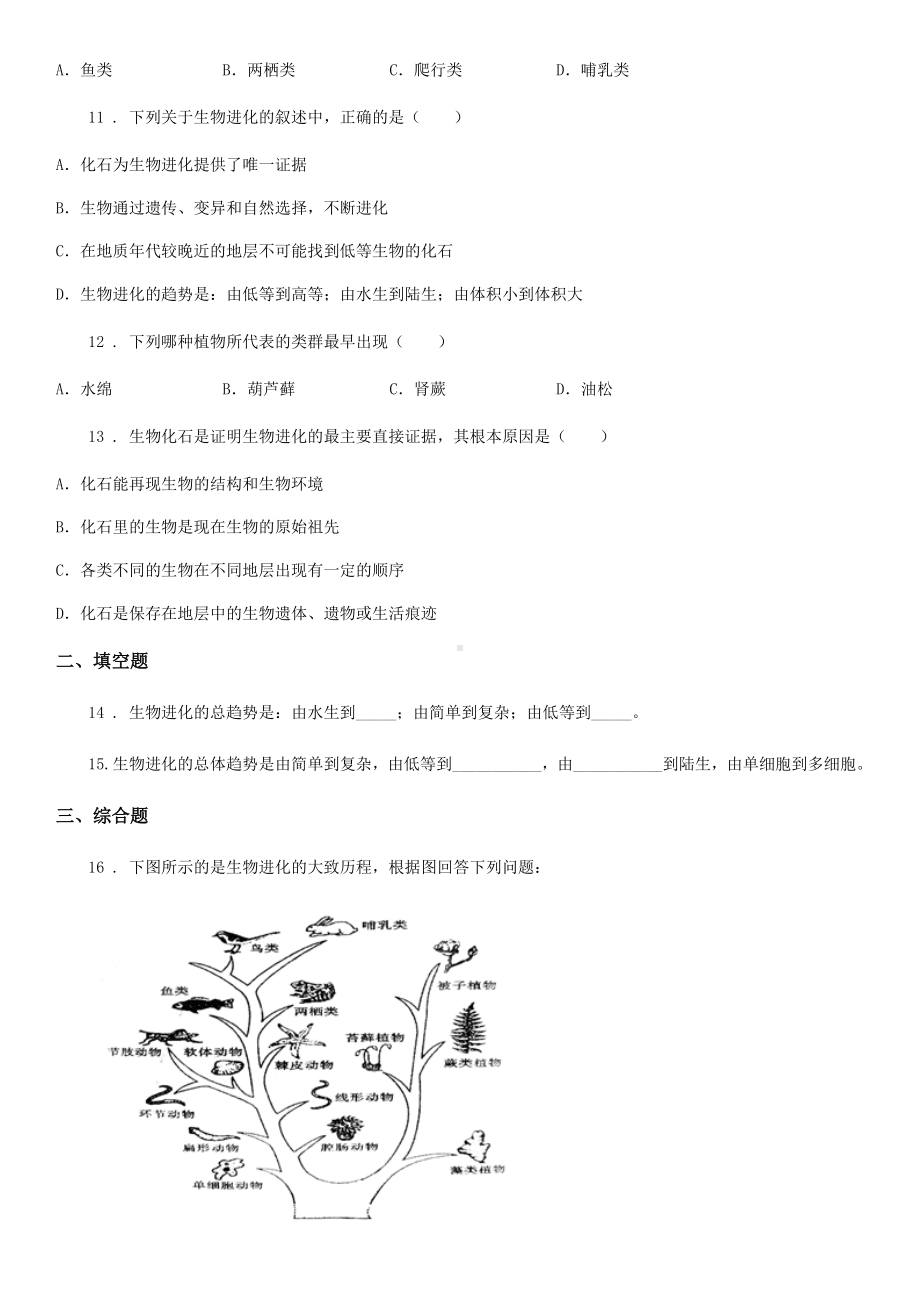 济南版八年级下册生物-5.1.2生物进化的证据-同步测试题.doc_第3页