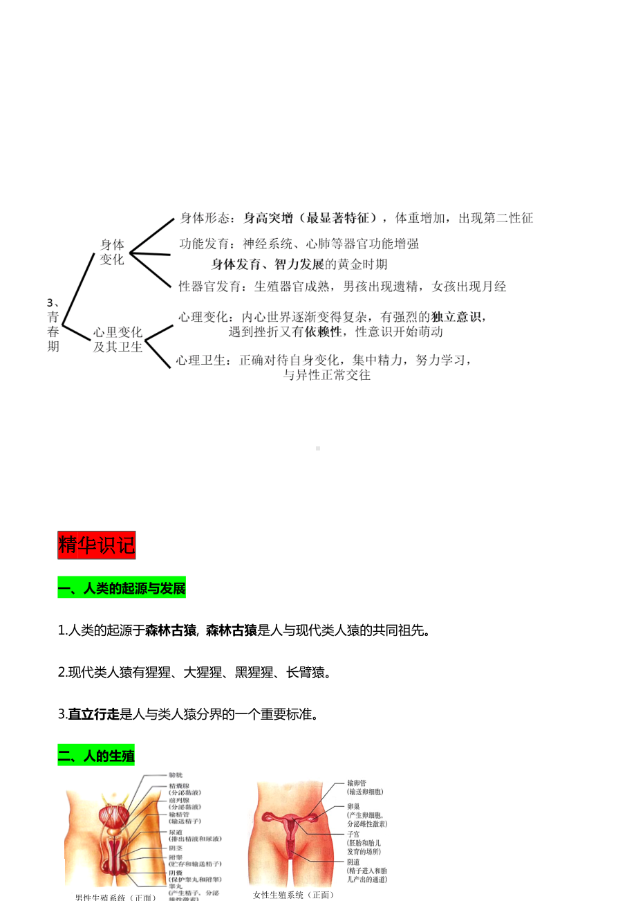 初一下册生物每章思维导图+精华知识 (3).docx_第2页