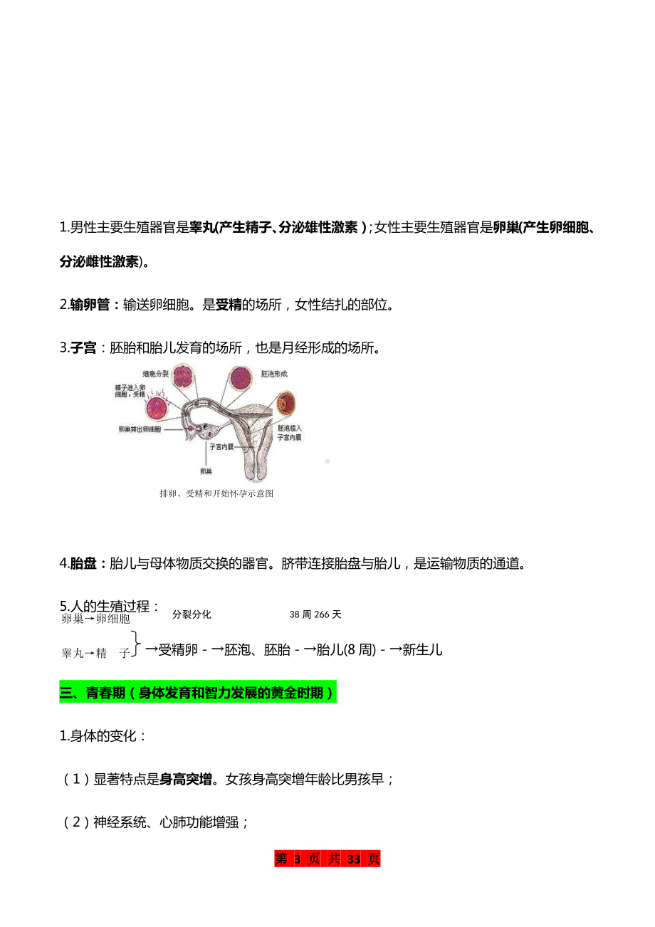 初一下册生物每章思维导图+精华知识 (3).docx_第3页