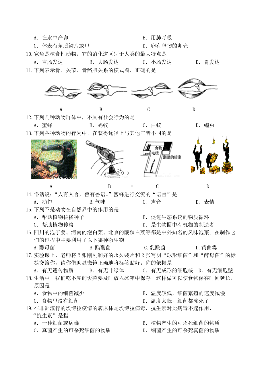 湖南省湘潭市八年级生物下学期期末考试试卷-新人教版.doc_第2页