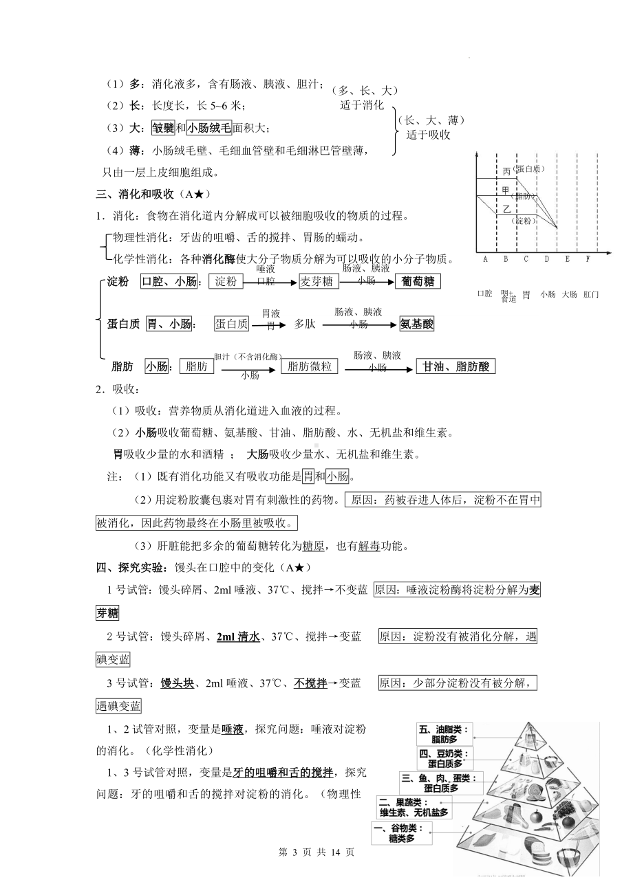 人教版七年级下册生物期末复习提纲（实用！）.docx_第3页