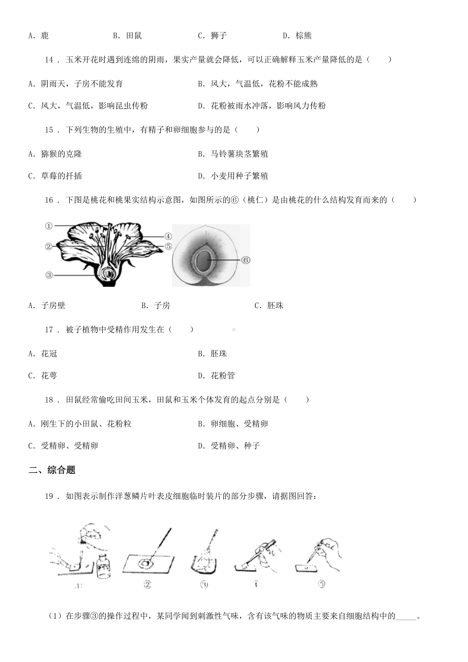 济南版八年级上册生物第四单元第一章绿色开花植物的一生单元测试题.doc_第3页