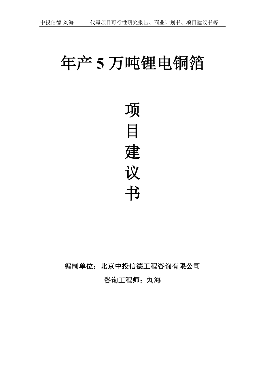 年产5万吨锂电铜箔项目建议书写作模板.doc_第1页