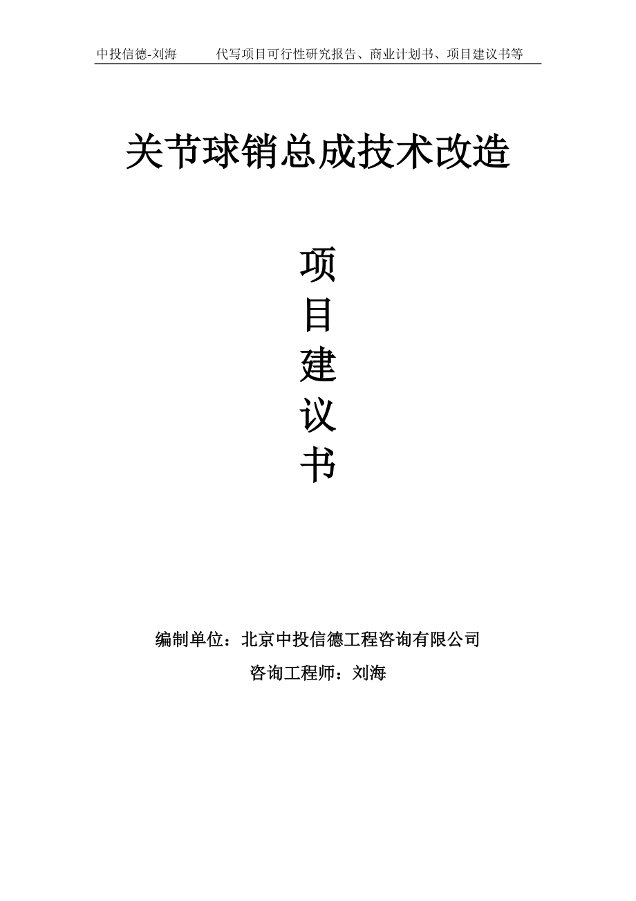 关节球销总成技术改造项目建议书写作模板.doc_第1页