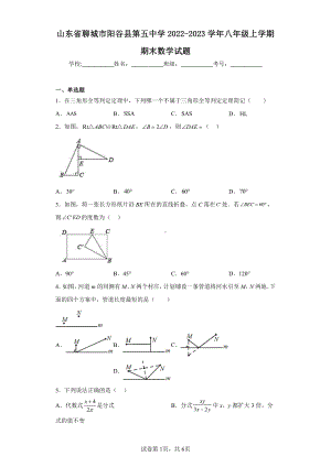 山东省聊城市阳谷县第五中学2022-2023学年八年级上学期期末数学试题.pdf