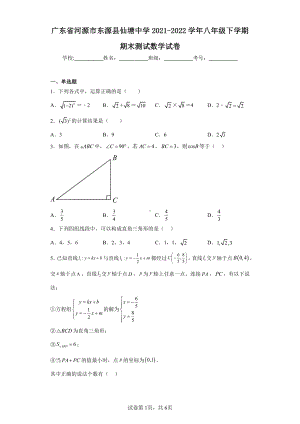 广东省河源市东源县仙塘中学2021-2022学年八年级下学期期末测试数学试卷.pdf