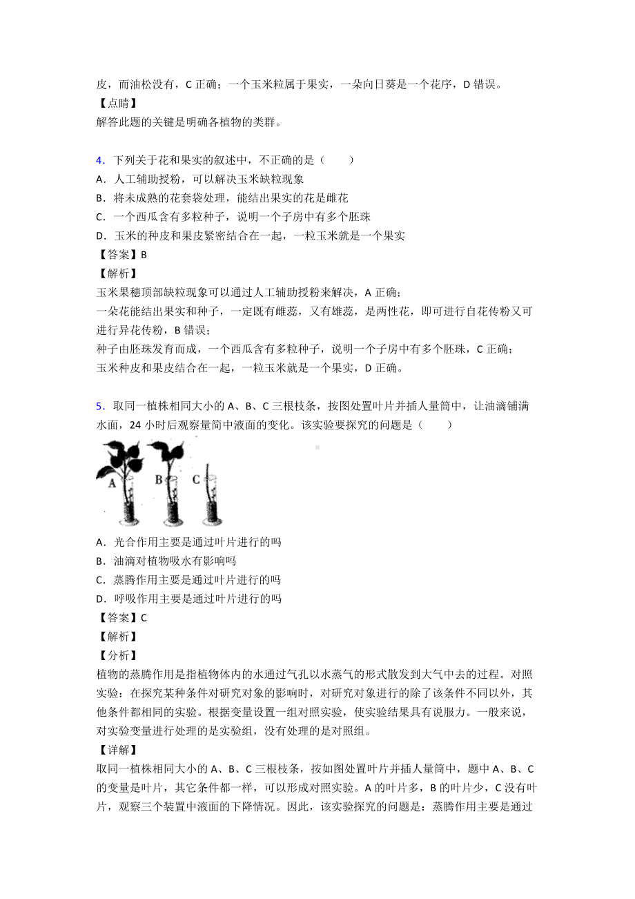 生物初一第三单元《生物圈中的绿色植物》复习知识点.doc_第3页