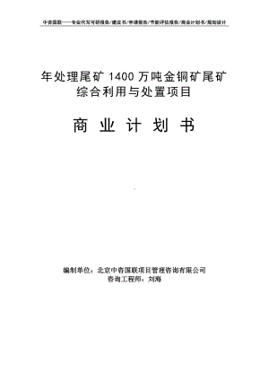 年处理尾矿1400万吨金铜矿尾矿综合利用与处置项目商业计划书写作模板-融资招商.doc