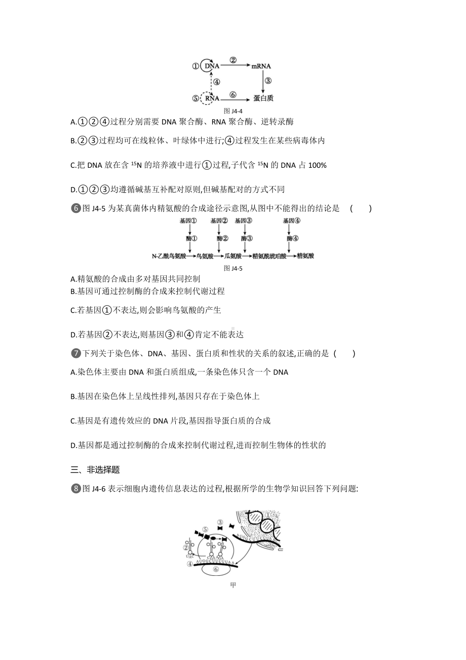 生物人教版必修2练习：基础排查训练(四)第4章-Word版含解析.doc_第3页