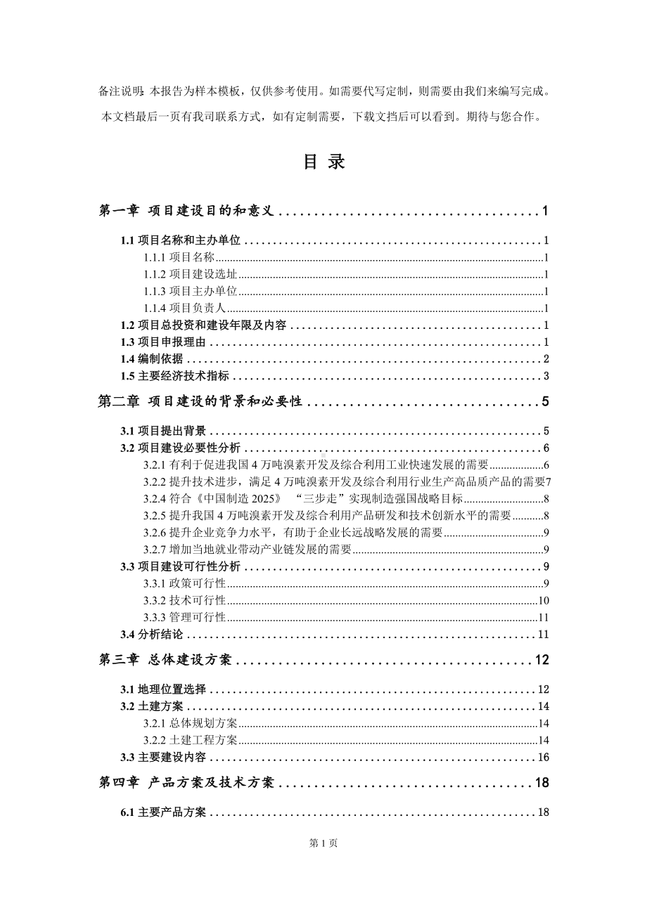 4万吨溴素开发及综合利用项目建议书写作模板.doc_第2页