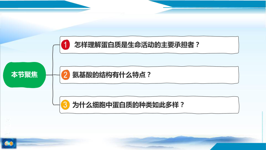 2.4蛋白质是生命活动的主要承担者ppt课件(4)-2023新人教版（2019）《高中生物》必修第一册.pptx_第2页