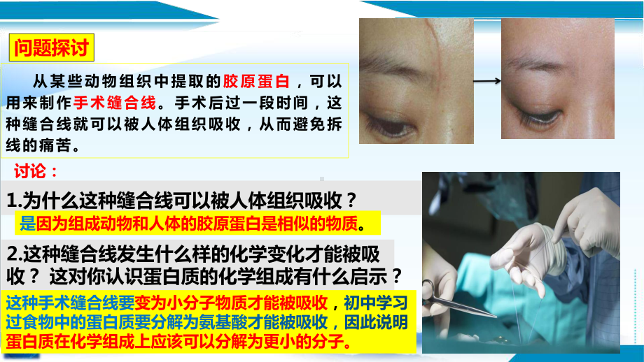 2.4蛋白质是生命活动的主要承担者ppt课件(4)-2023新人教版（2019）《高中生物》必修第一册.pptx_第3页