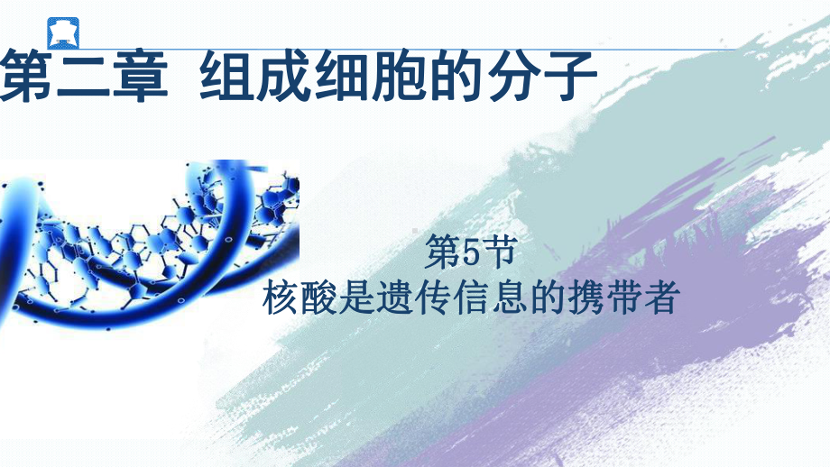 2.5 核酸是遗传信息的携带者 ppt课件 (2)-2023新人教版（2019）《高中生物》必修第一册.pptx_第1页