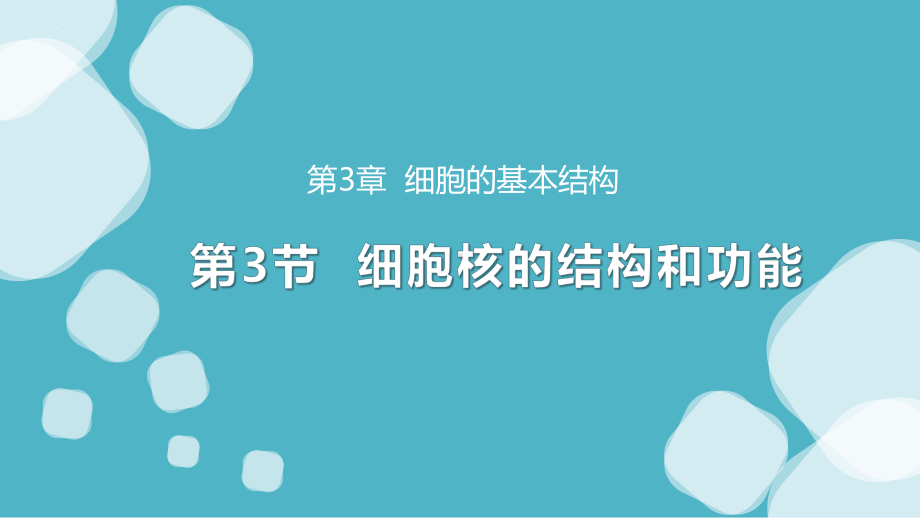 3.3细胞核的结构和功能ppt课件-2023新人教版（2019）《高中生物》必修第一册.pptx_第1页