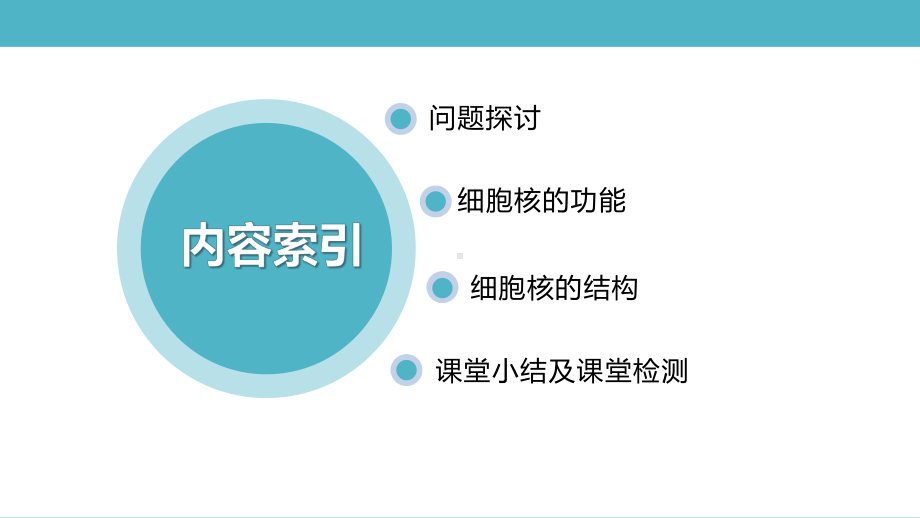 3.3细胞核的结构和功能ppt课件-2023新人教版（2019）《高中生物》必修第一册.pptx_第2页