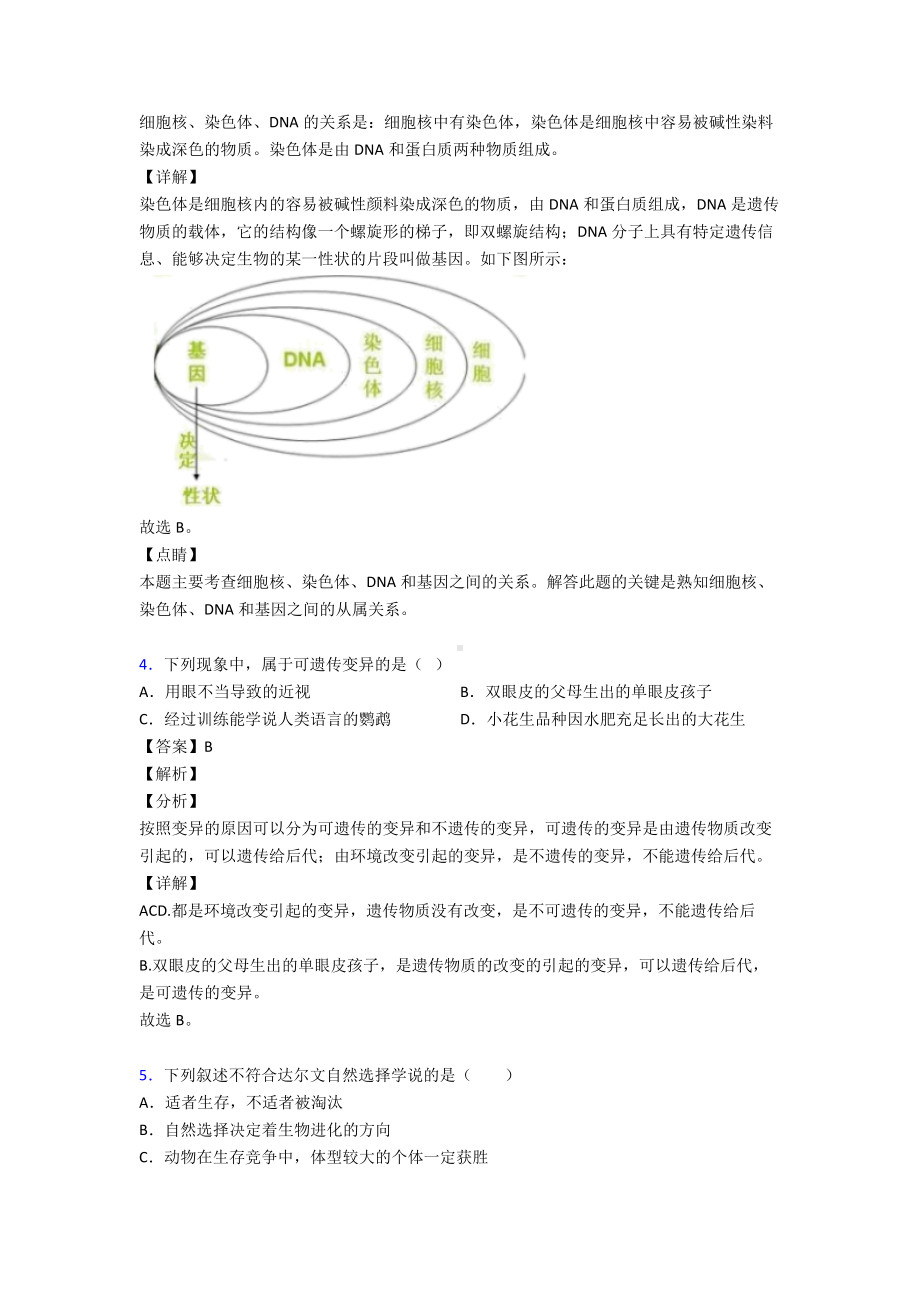 第七单元《生物圈中生命的延续和发展》知识点汇总.doc_第3页