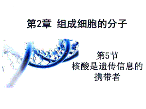 2.5核酸是遗传信息的携带者ppt课件-2023新人教版（2019）《高中生物》必修第一册.pptx