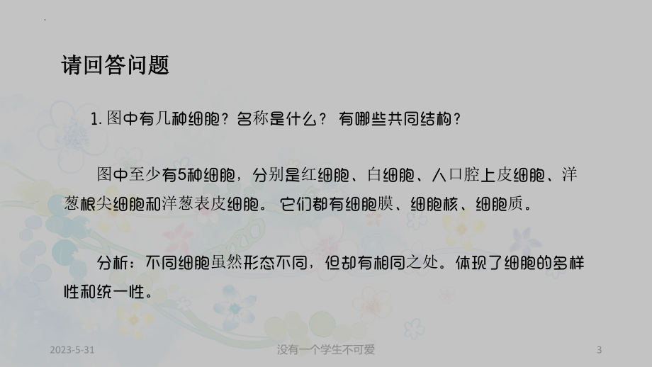 1.2细胞的多样性和统一性ppt课件(2)-2023新人教版（2019）《高中生物》必修第一册.pptx_第3页