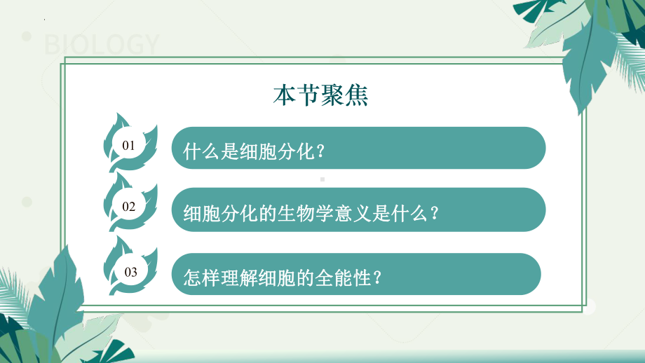 6.2 细胞的分化ppt课件-2023新人教版（2019）《高中生物》必修第一册.pptx_第3页