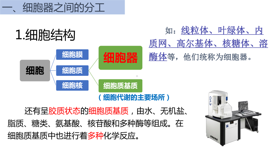 3.2细胞器之间的分工合作ppt课件-2023新人教版（2019）《高中生物》必修第一册.pptx_第3页